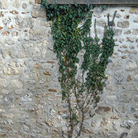 DSC00023.jpg