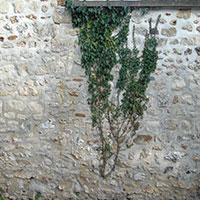 DSC00024.jpg