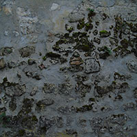 DSC00032.jpg