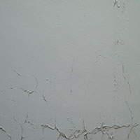 DSC00070.jpg