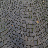 DSC00083.jpg