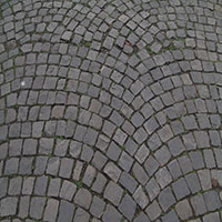 DSC00084.jpg