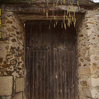 DSC00495.jpg